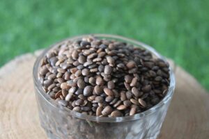 Pahadi Gehat/Kulthi/HorseGram